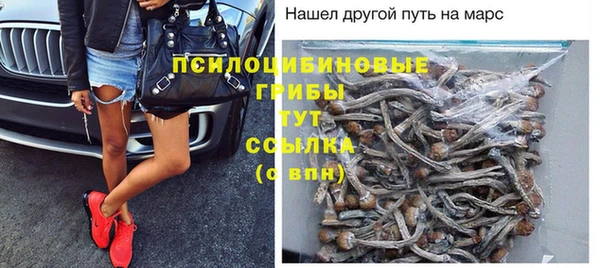 трава Усмань
